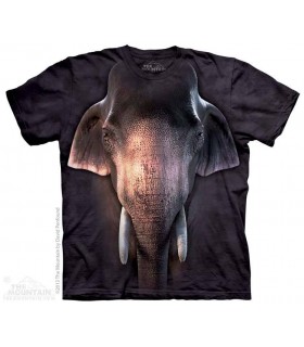 Big Face Asian Elephant - Animal T Shirt The Mountain