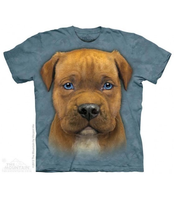 T Shirts Tete De Chien The Mountain Couleur Bleu Gris Sotshirt