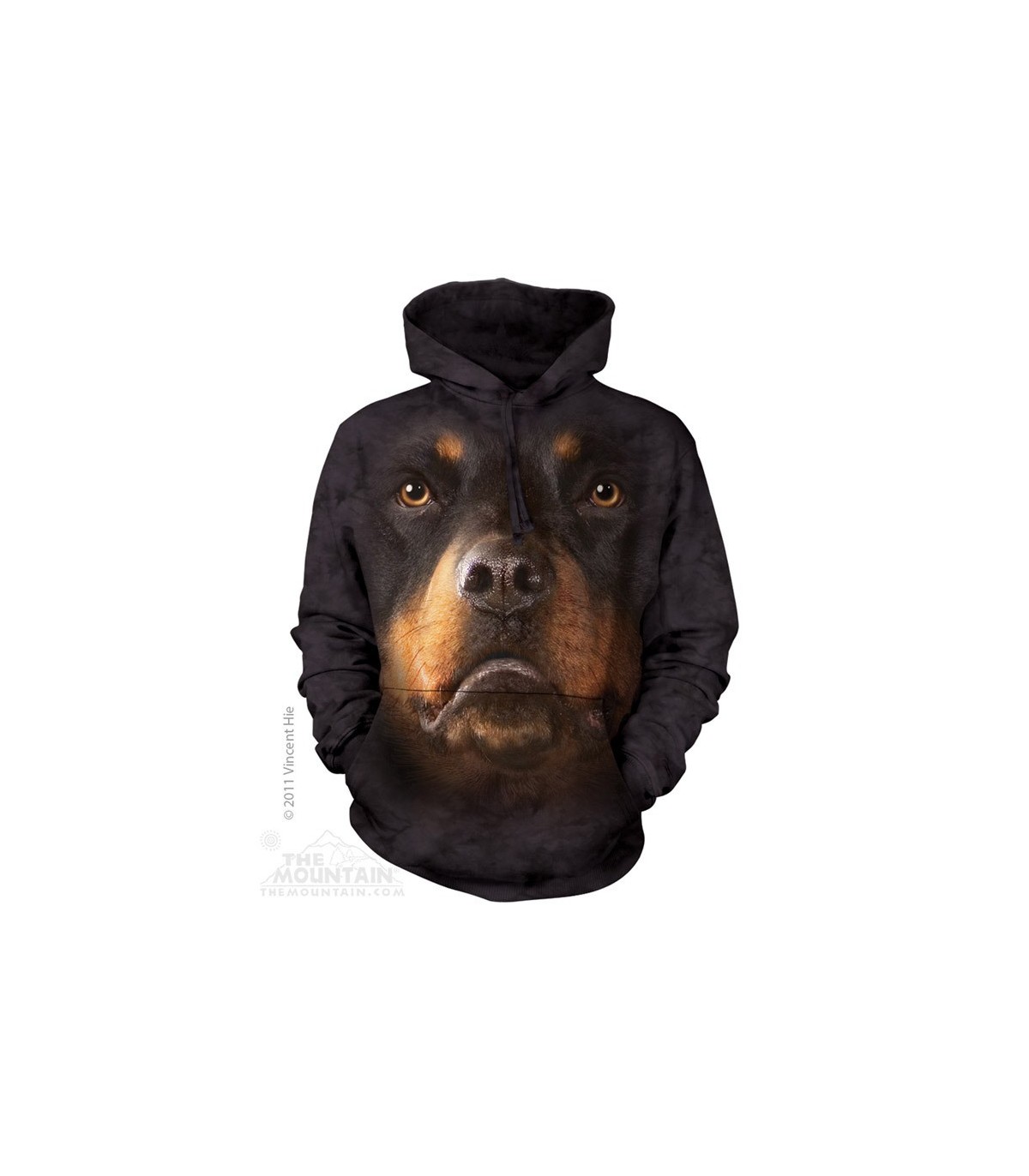 dog with hoodie on