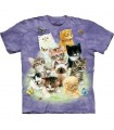 10 Kittens - Cats Shirt The Mountain