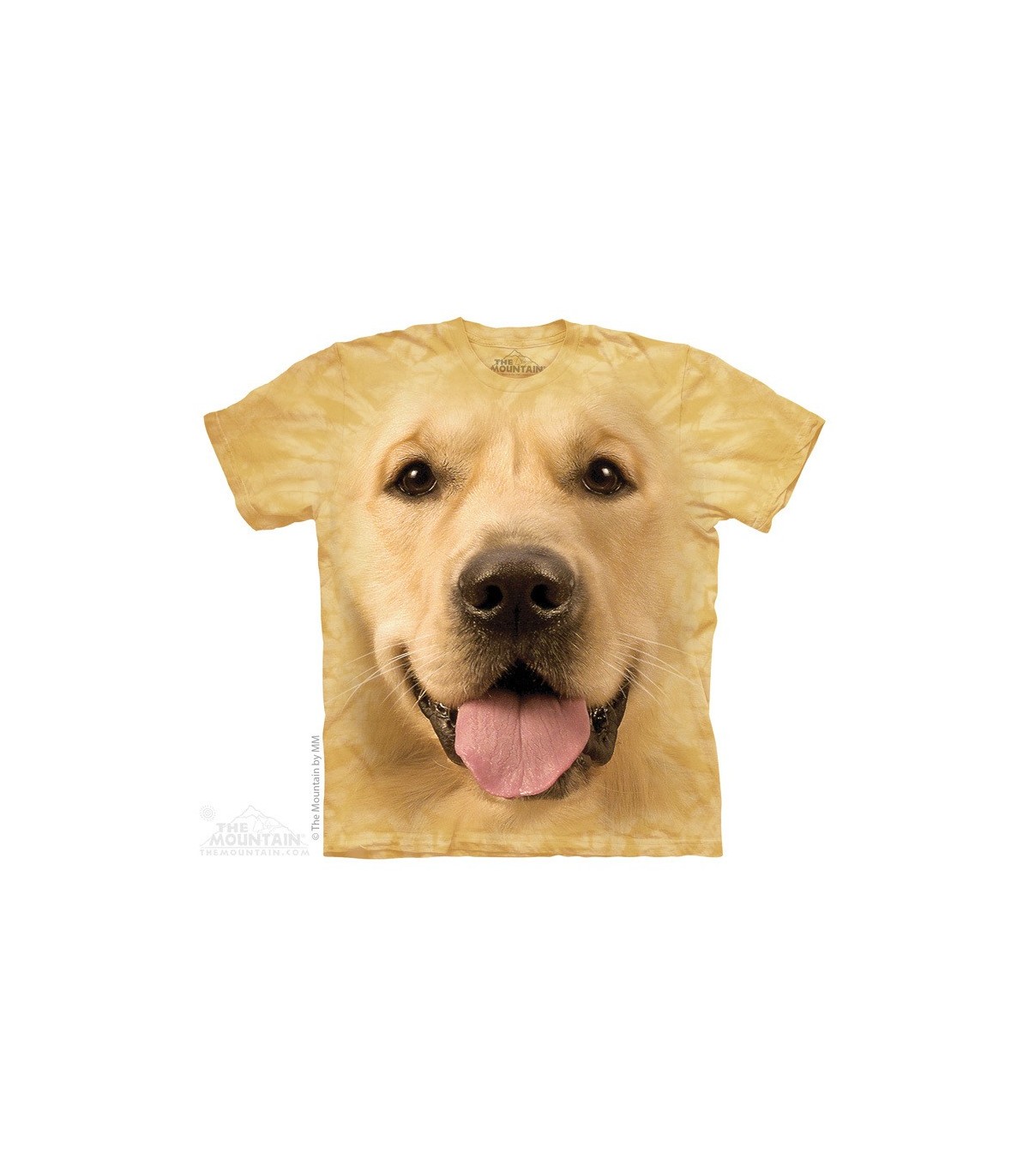 dog with shirt