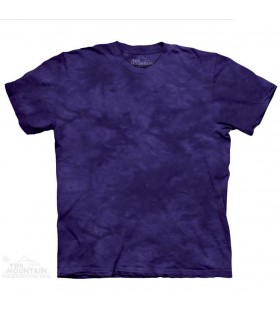 Decepticon - Mottled Dye T Shirt The Mountain