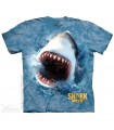 Shark Feed T Shirt The Mountain