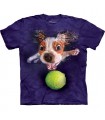 Monty - T-shirt chien sous l'eau par Seth Casteel