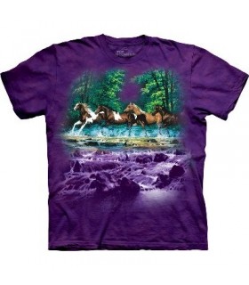 Spring Creek Run - Horses Shirt Mountain