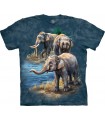 Asian Elephants T Shirt