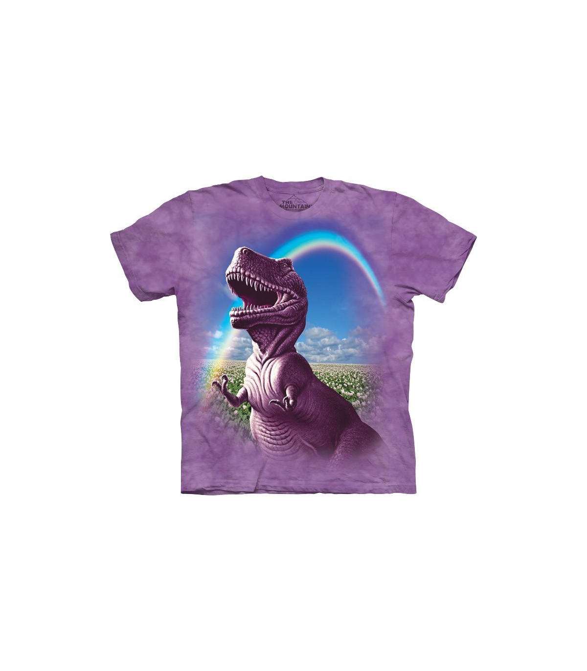 tee shirt dinosaure enfant