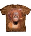 Orangutan Hang T Shirt