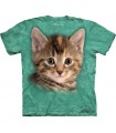 Striped Kitten - Cats T Shirt by the Mountain