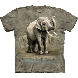 T-Shirt Eléphants d'Asie par The Mountain