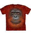 Orangutan Face - Primate T Shirt Mountain