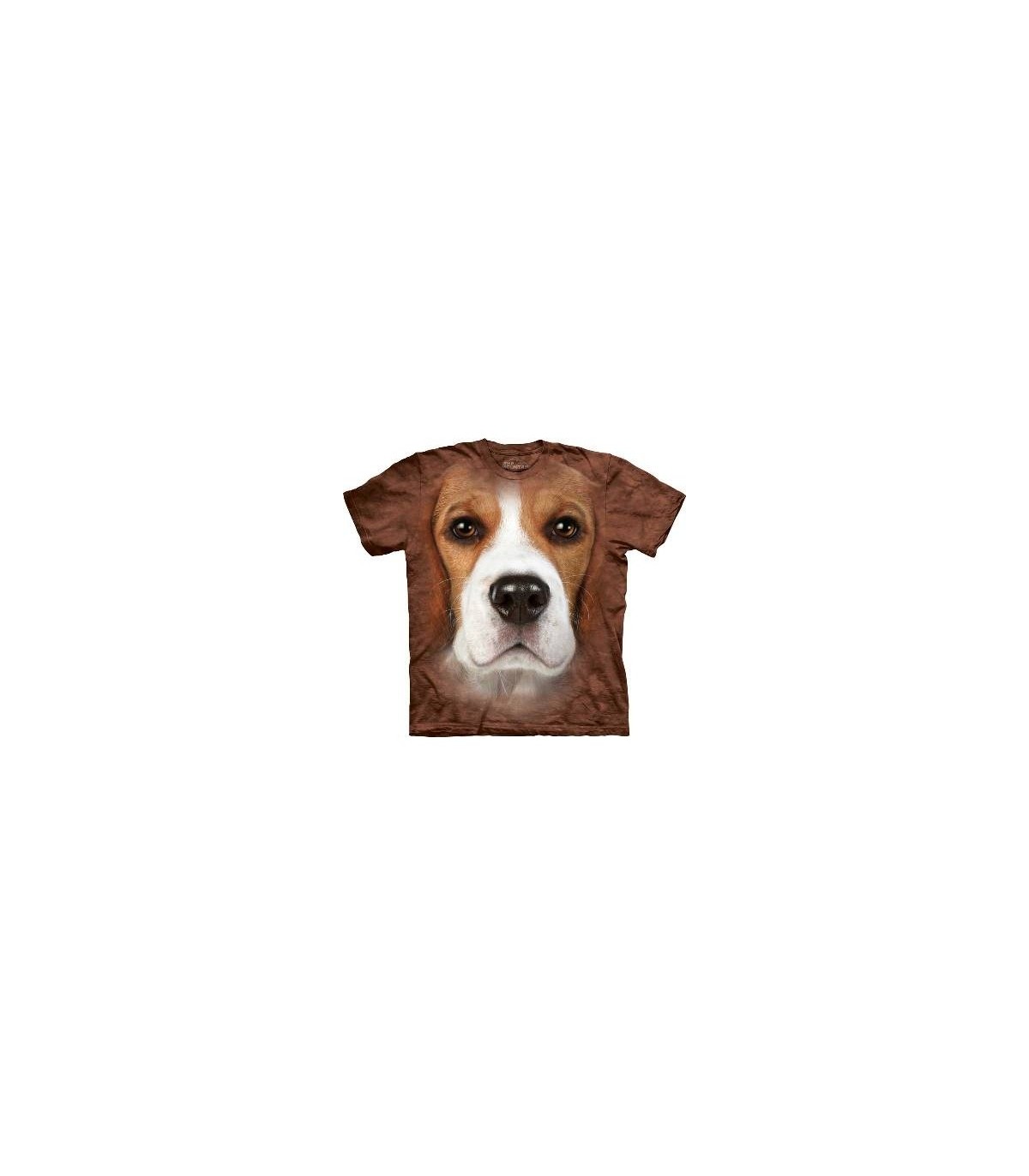 beagle dogs
